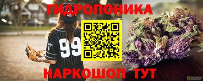 стаф Канаш