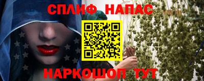 стаф Канаш