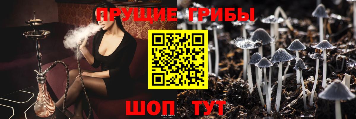 Магадан  Галлюциногенные грибы мицелий  Вход с VPN 