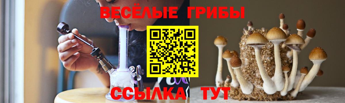 Псилоцибиновые грибы GOLDEN TEACHER Магадан